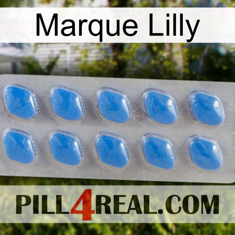 Lilly Brand 22